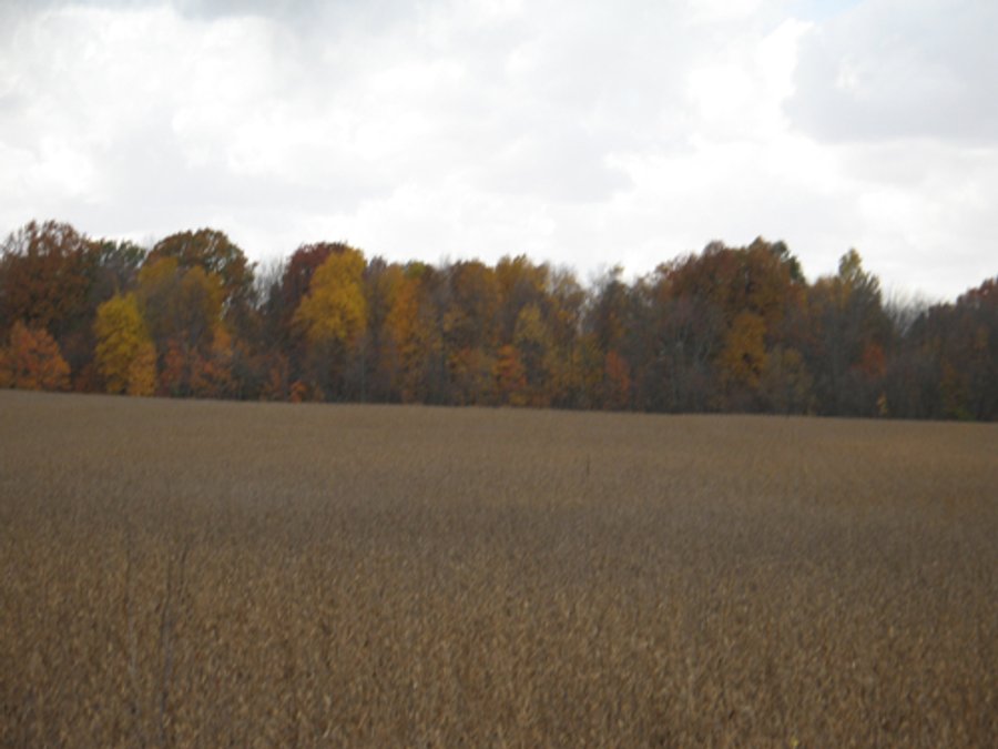 97 +/- Acres Tillable Land Auction